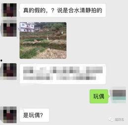 茂名真实爆料事件最新情况,揭开事件背后惊人真相