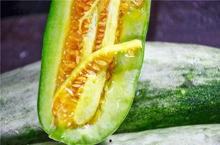 ooooo推特网红吃瓜,从吃瓜到爆红，看看他们如何玩转社交媒体！  第1张