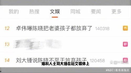 刘大锤爆料预告最新,揭秘娱乐圈最新热点事件  第3张